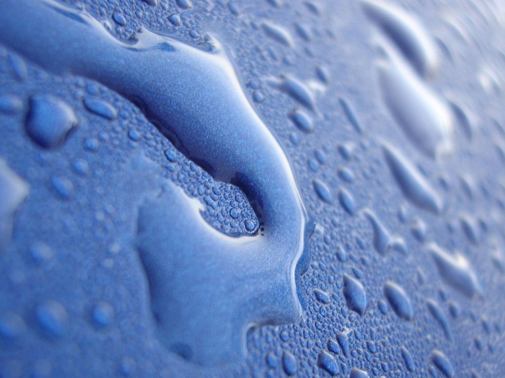 Water Drops Closeup wallpaper