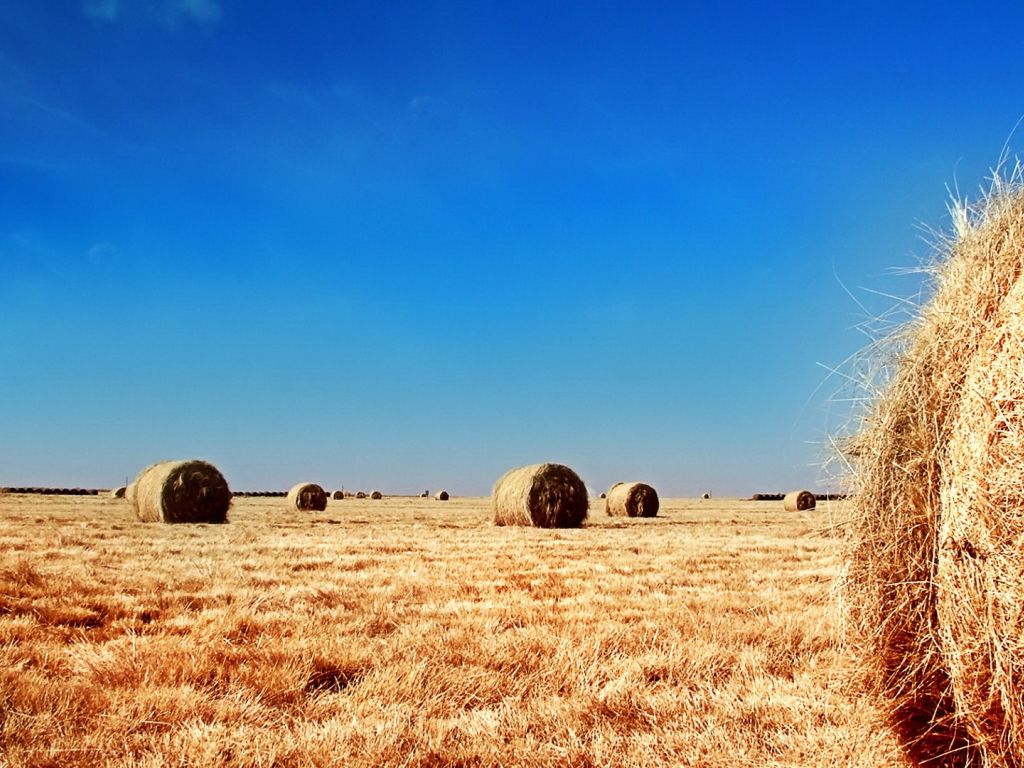 Wheat Bales Landscape wallpaper