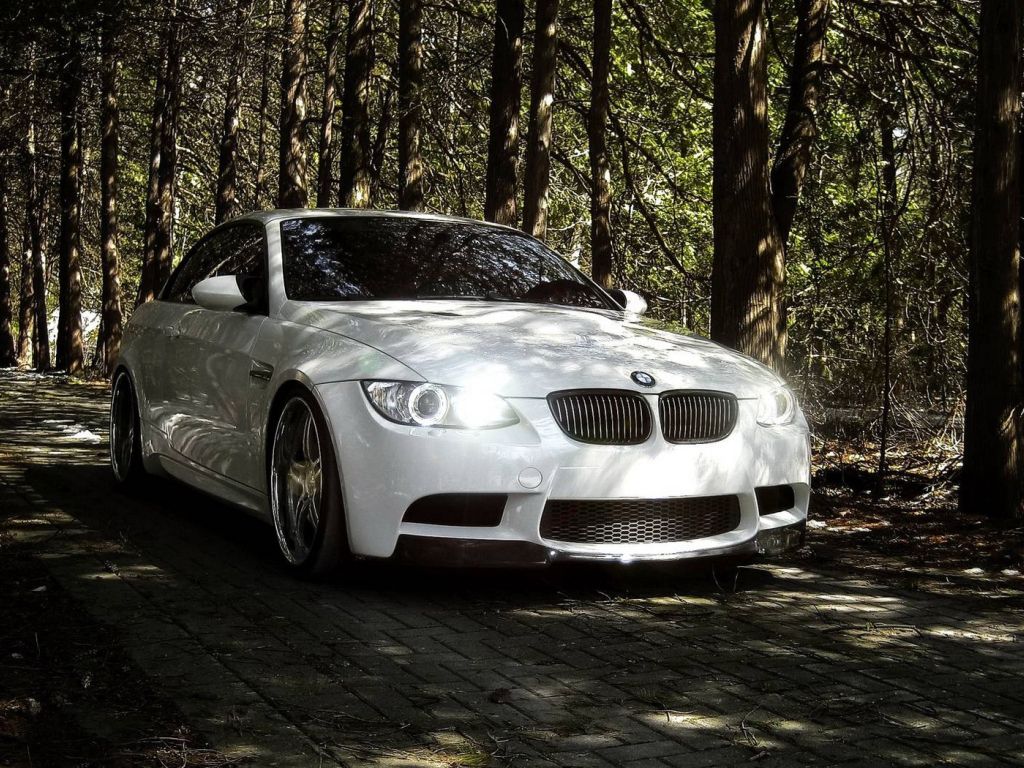 White BMW in the Forest wallpaper