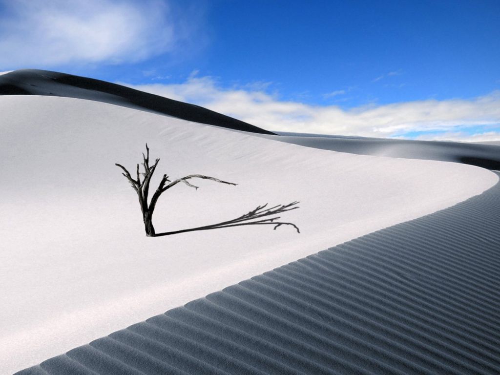 White Desert With a Torn Tree wallpaper