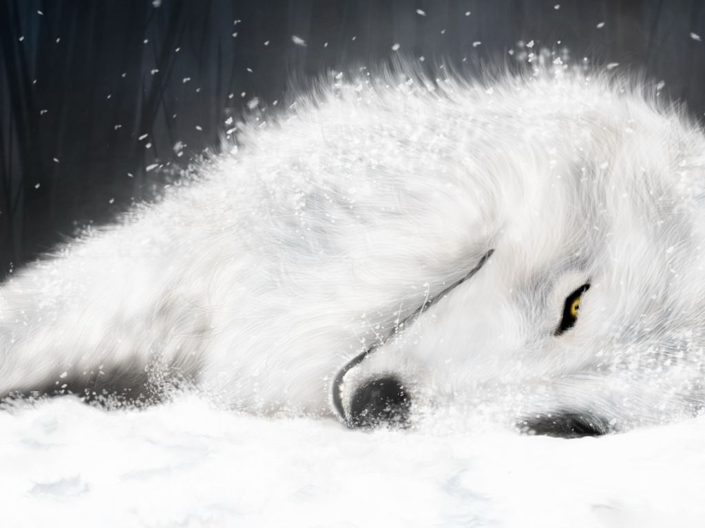 White Fox in ICE wallpaper