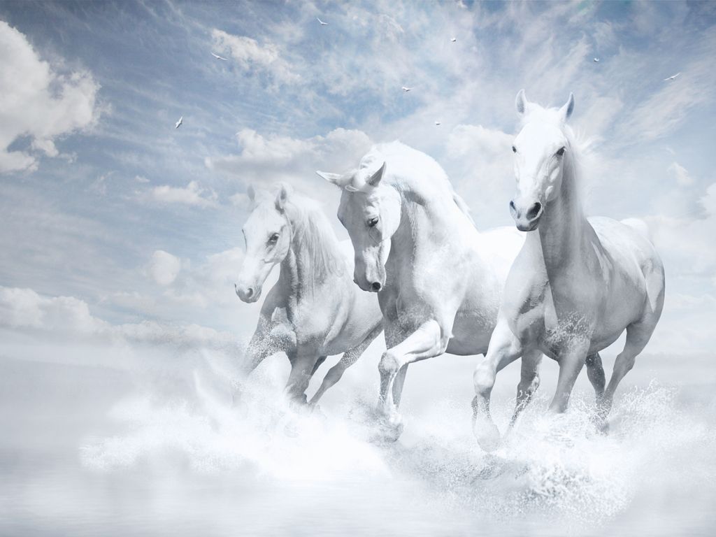 White Horses wallpaper