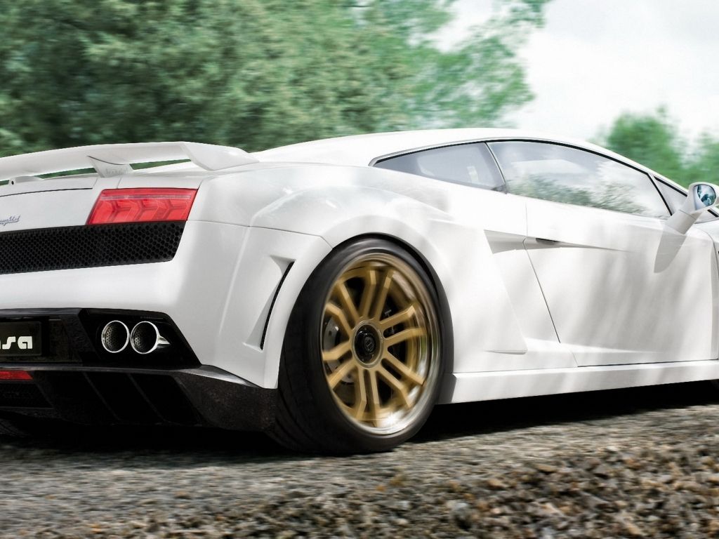 White Lamborghini Posing wallpaper