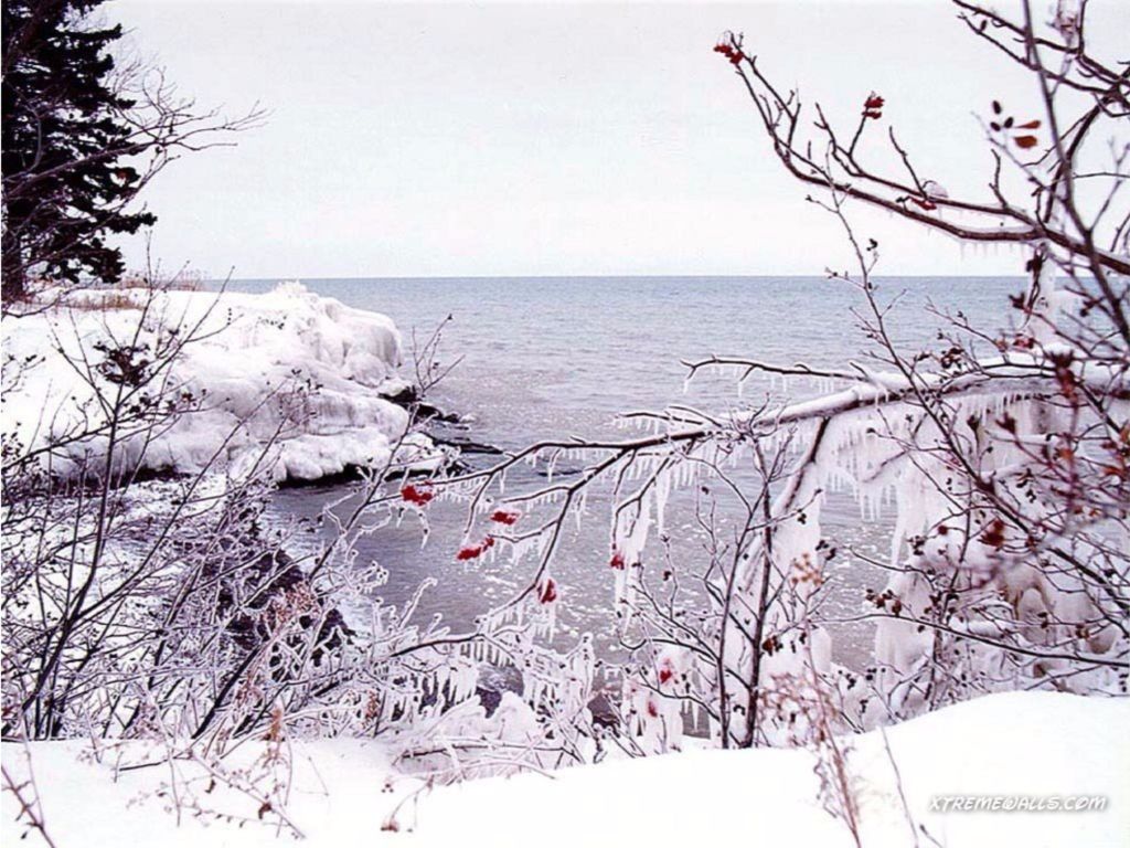 White Season Winter wallpaper