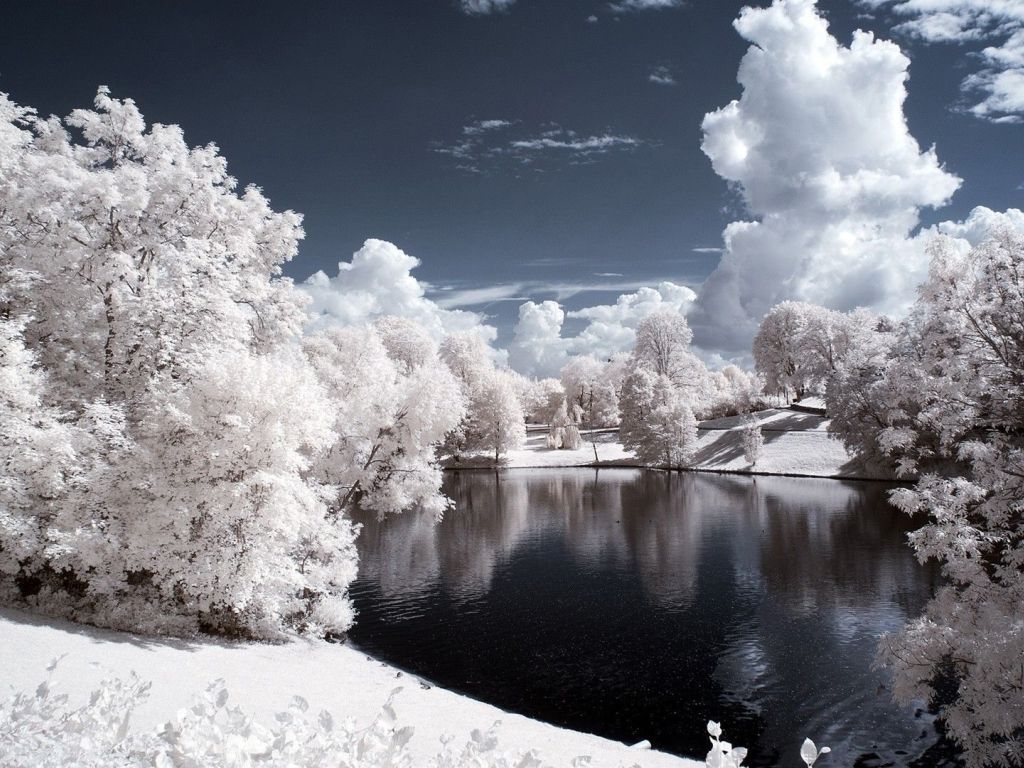White Winter Landscape wallpaper