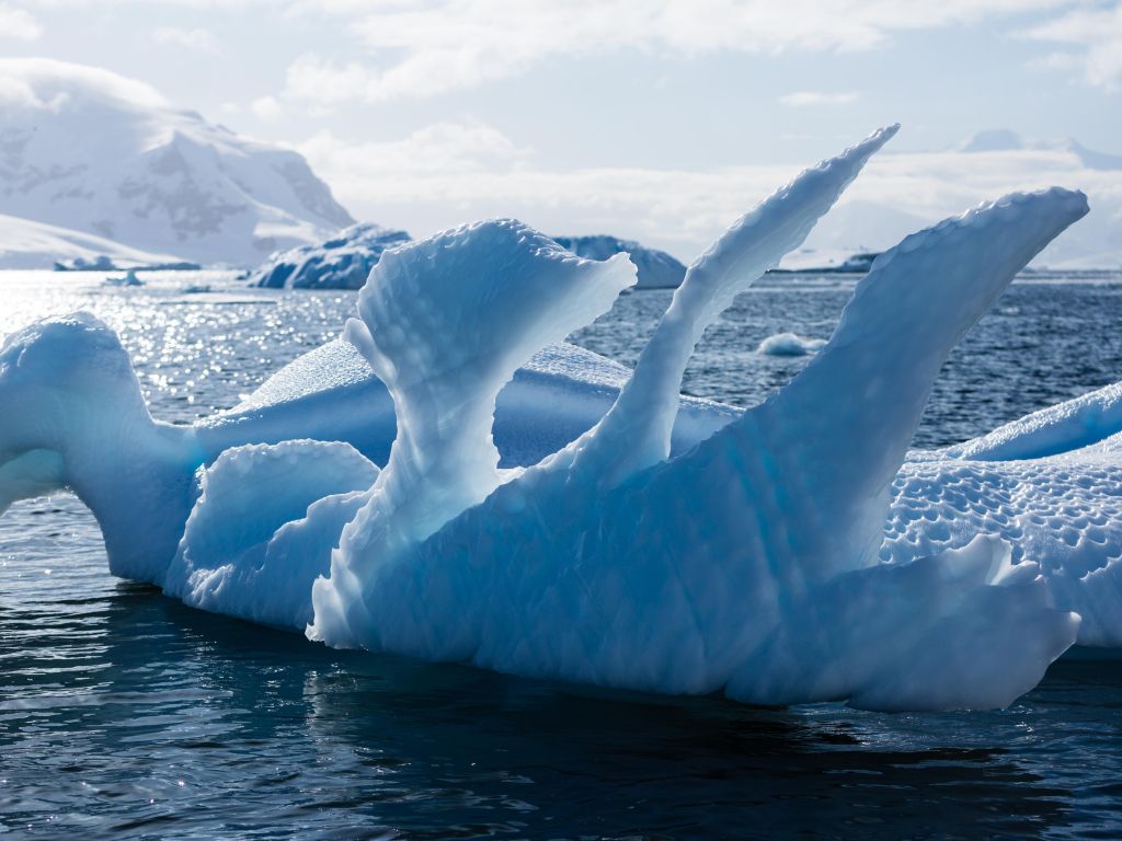 Wildly Sculptured Ice Creatures OC Neko Harbor wallpaper