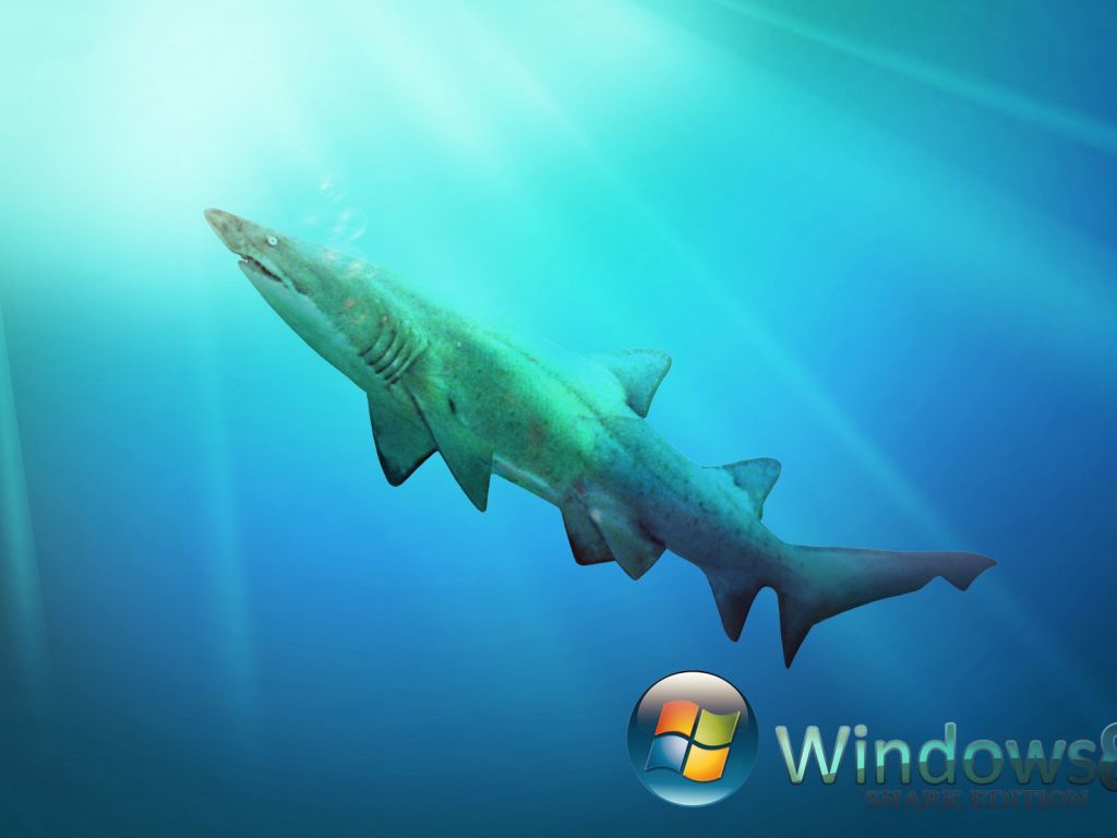 Windows 8 7758 wallpaper
