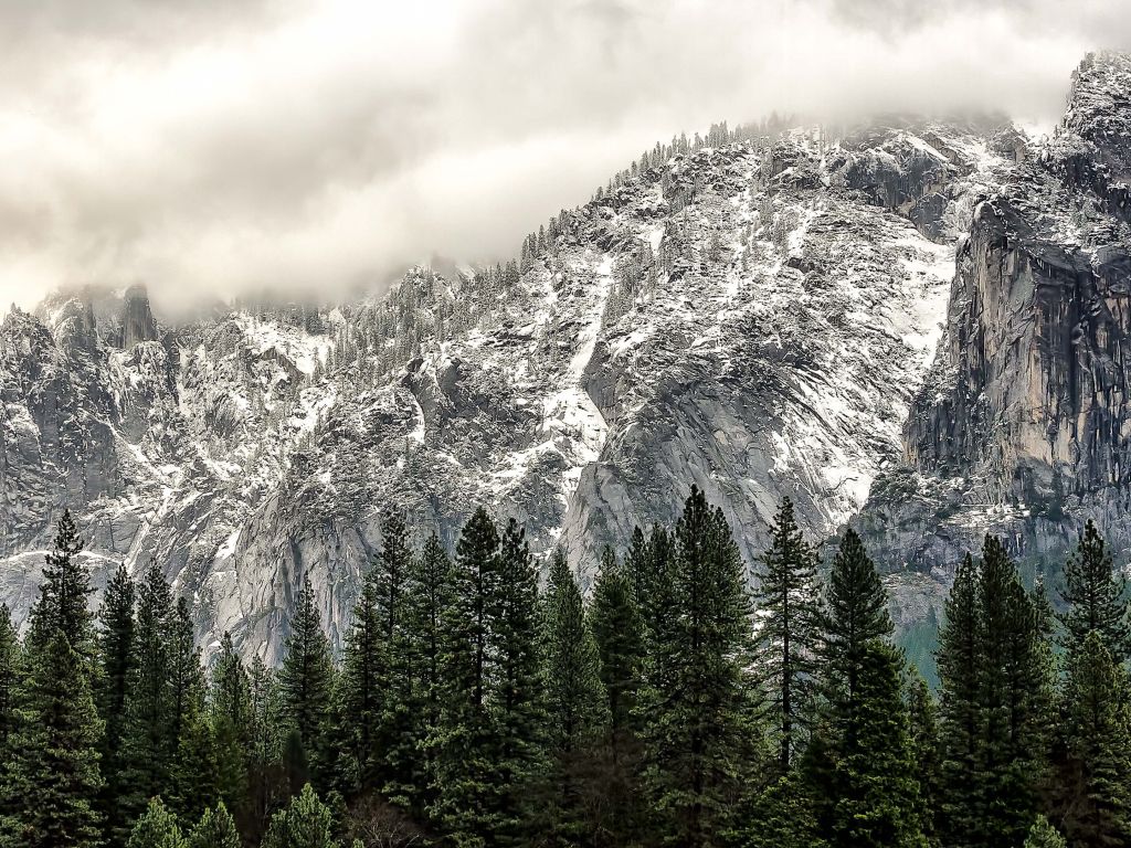 Winter Day at Yosemite National Park wallpaper