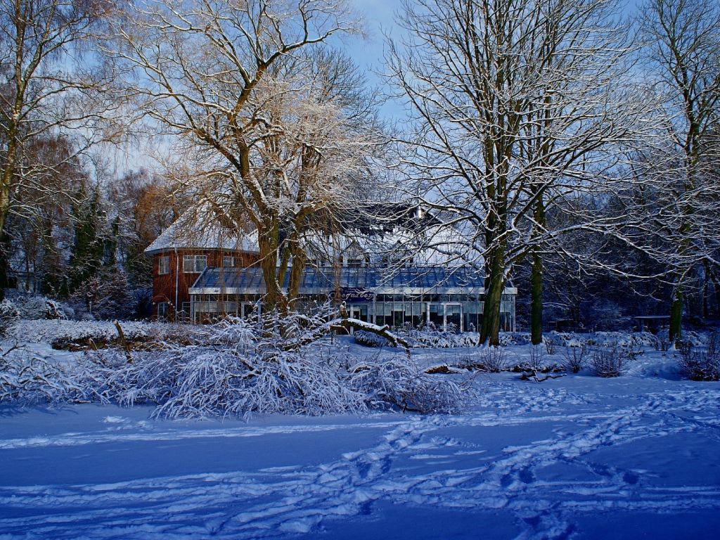 Winter House Landscape wallpaper