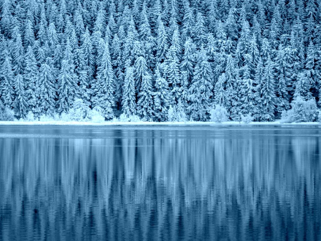 Winter Lake Landscape wallpaper