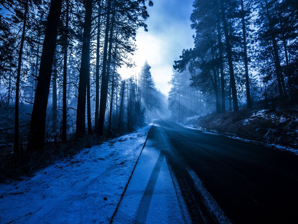 Winter on a Forest Road wallpaper