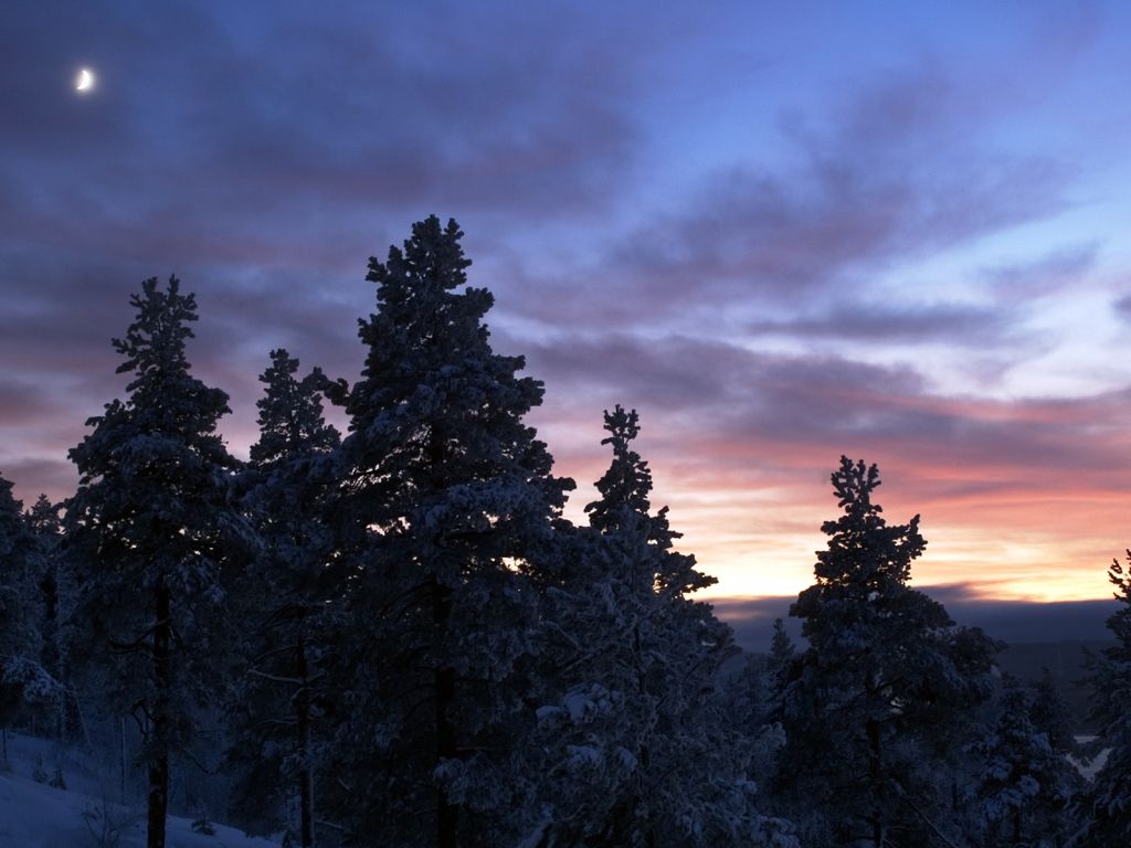 Winter Twilight Landscape wallpaper