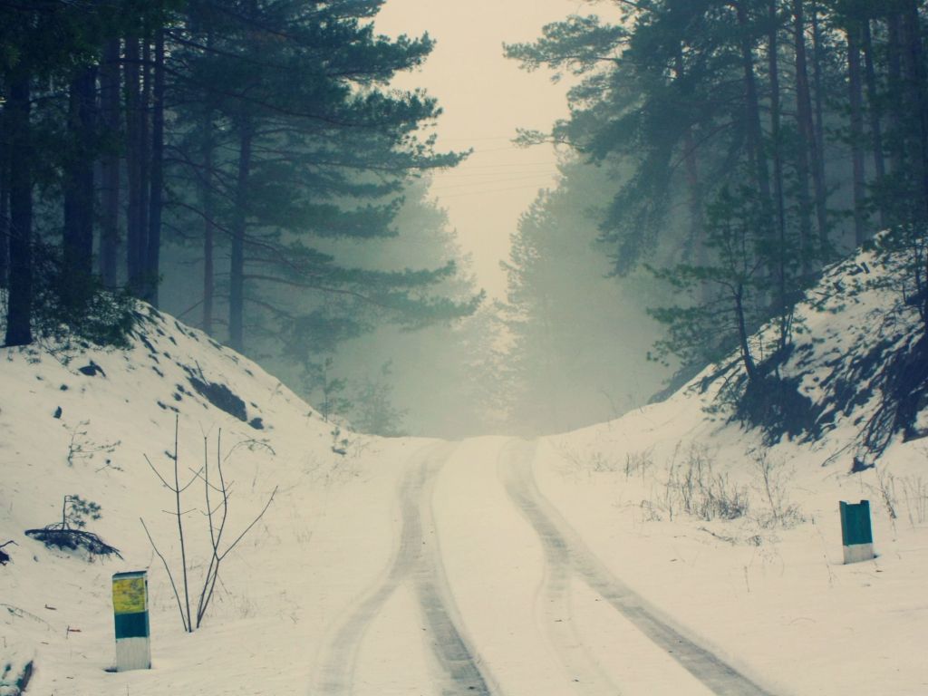 Wintery Forest Road wallpaper