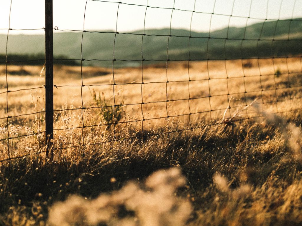Wire Fence wallpaper
