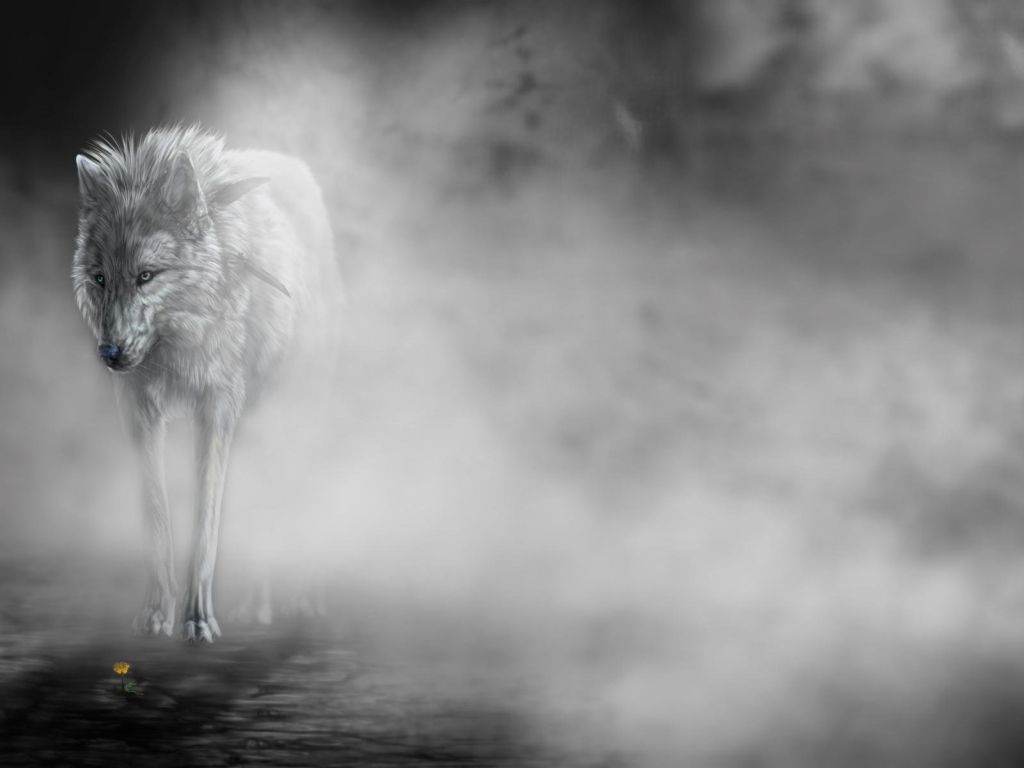 Wolf Fantasy Mist wallpaper