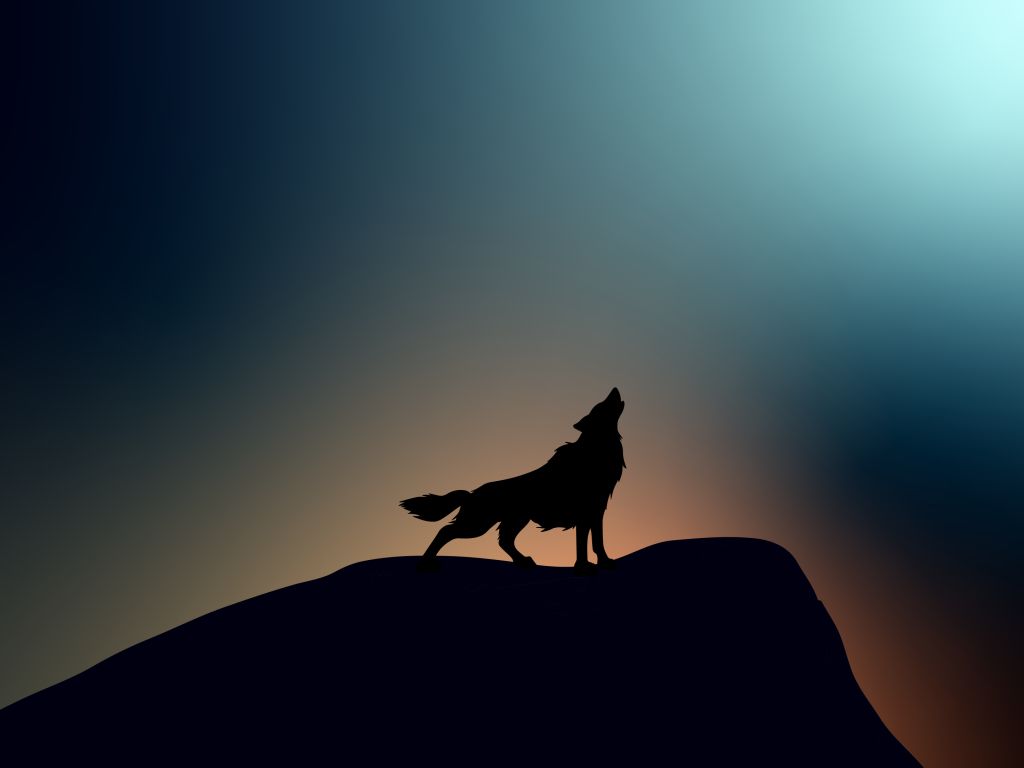 Wolf Howling wallpaper