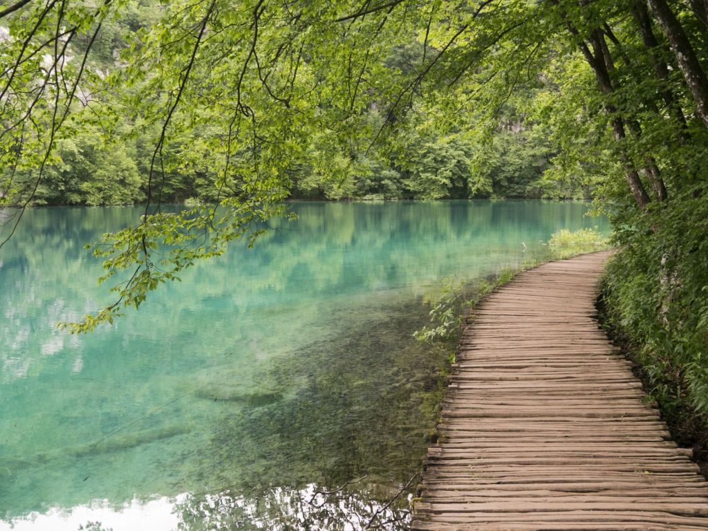 Wooden Path by the Lake at Plitvice Lakes National Park Croatia wallpaper