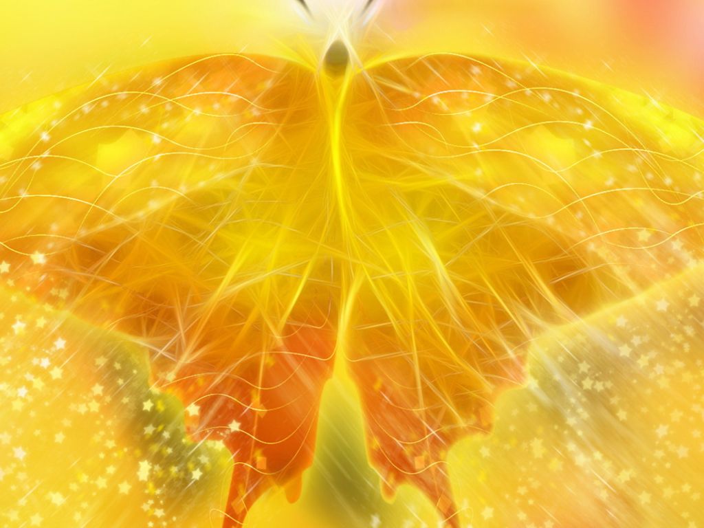 Yellow Butterfly 7769 wallpaper