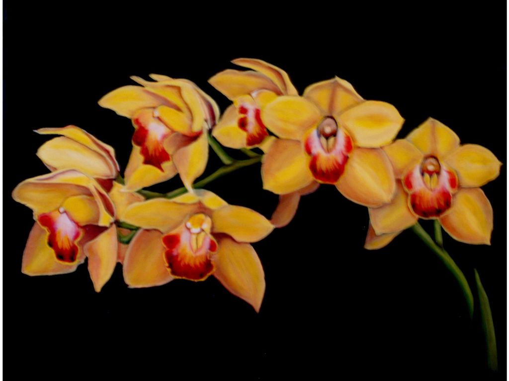 Yellow Florida Orchids wallpaper