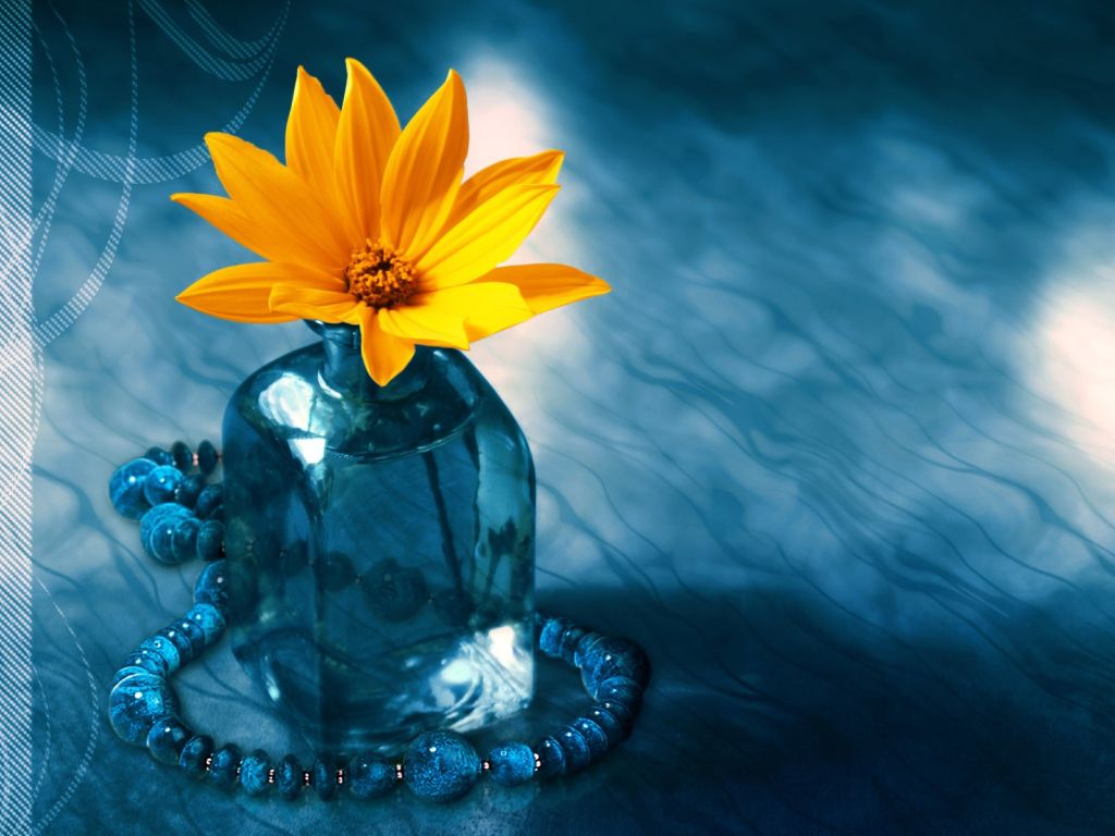 Yellow Flower in a Vase wallpaper in 1024x768 resolution