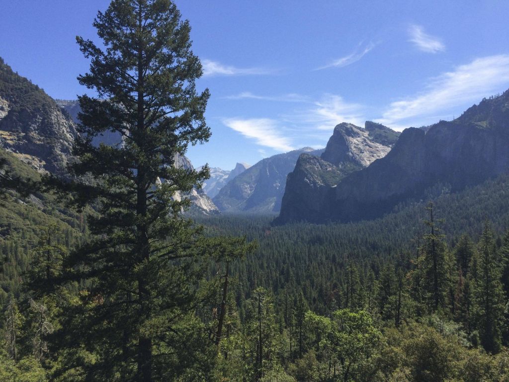 Yosemite CA wallpaper