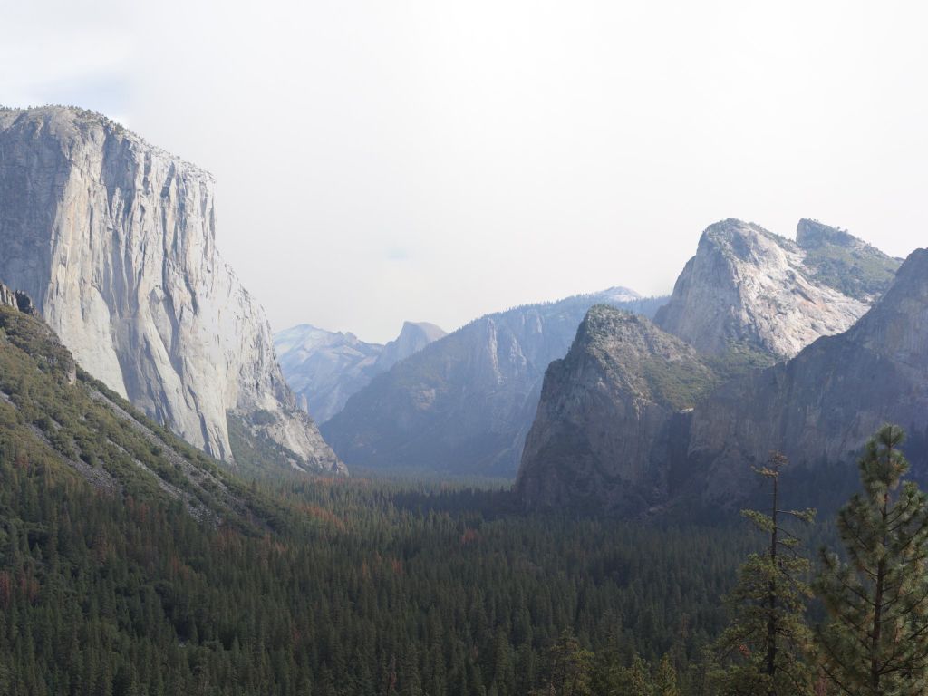 Yosemite National Park California at Tunnel Overlook wallpaper