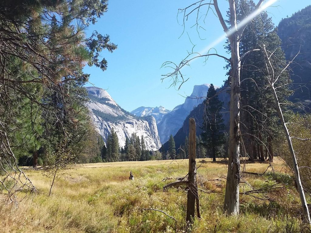 Yosemite Valley - Half Dome wallpaper